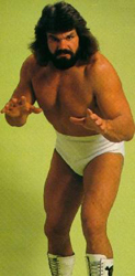 Steve Williams