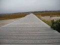 Sandwich Boardwalk (2)