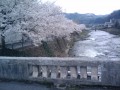東城・桜町 東城・桜町